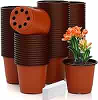 Willing plant ordinal pot W.P-004 Mix⑧ Willing plant ordinal pot W.P-004 Mix⑧